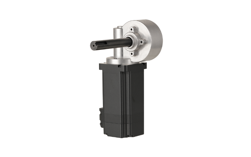 AW60BLF Series — 60mm BLDC Motor with Worm Reduction Gearbox